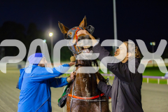 RACE 2 - Acushla Machree