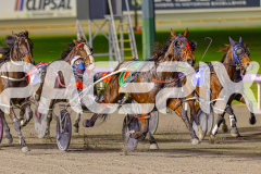 2025_PACEPIX_GP13062025_RACE2_AcushlaMachree_WIN_WEB-10