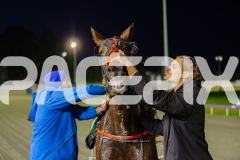 2025_PACEPIX_GP13062025_RACE2_AcushlaMachree_WIN_WEB-18