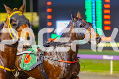 2025_PACEPIX_GP13062025_RACE2_AcushlaMachree_WIN_WEB-2