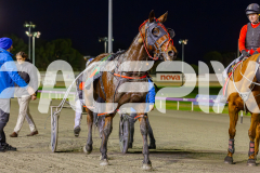 2025_PACEPIX_GP13062025_RACE2_AcushlaMachree_WIN_WEB-22