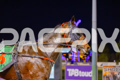 2025_PACEPIX_GP13062025_RACE2_AcushlaMachree_WIN_WEB-23