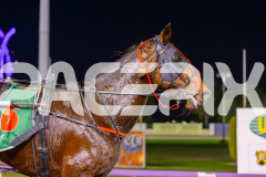 2025_PACEPIX_GP13062025_RACE2_AcushlaMachree_WIN_WEB-24