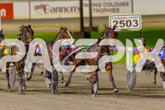 2025_PACEPIX_GP13062025_RACE2_AcushlaMachree_WIN_WEB-9