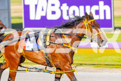 2025_PACEPIX_GP18112025_RACE2_AddaParis_WIN_WEB-12