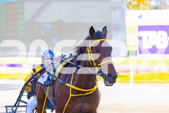 2025_PACEPIX_GP18112025_RACE2_AddaParis_WIN_WEB-14