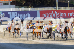 2025_PACEPIX_GP18112025_RACE2_AddaParis_WIN_WEB-2
