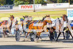 2025_PACEPIX_GP18112025_RACE2_AddaParis_WIN_WEB-5