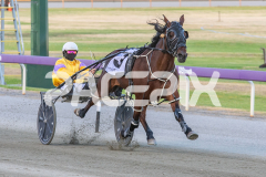 Race 2 - Admiral Darcy