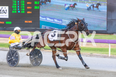Admiral-Darcy_13-12-2025_WIN_Glouester-Park_2__08