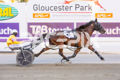 Admiral-Darcy_13-12-2025_WIN_Glouester-Park_2__10