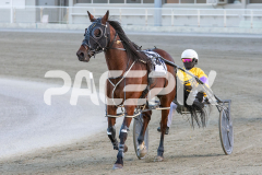 Admiral-Darcy_13-12-2025_WIN_Glouester-Park_2__11