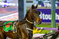 2026_Pacepix_GP18082026_Race2_AlfaJess_WIN_WEB-1
