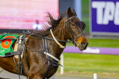2026_Pacepix_GP18082026_Race2_AlfaJess_WIN_WEB-16
