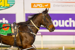 2026_Pacepix_GP18082026_Race2_AlfaJess_WIN_WEB-17