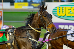 2026_Pacepix_GP18082026_Race2_AlfaJess_WIN_WEB-2