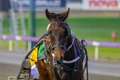 2026_Pacepix_GP18082026_Race2_AlfaJess_WIN_WEB-21