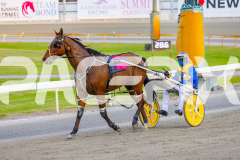 2025_PACEPIX_GP03102025_RACE2_AltaTribute_WIN_WEB-11