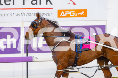 2025_PACEPIX_GP03102025_RACE2_AltaTribute_WIN_WEB-12
