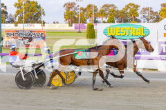 2025_PACEPIX_GP03102025_RACE2_AltaTribute_WIN_WEB-8