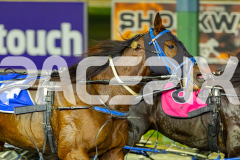 2026_PACEPIX_GP12052026_Race2_AmalfiKnight_WIN_WEB-10