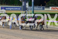 2026_PACEPIX_GP12052026_Race2_AmalfiKnight_WIN_WEB-3