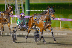 RACE 2 - Art Ideal