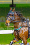 2026_PACEPIX_GP24072026_RACE2_ArtIdeal_WIN_WEB-20