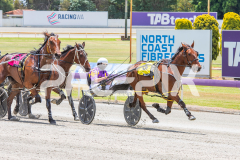 Beach-Captain_05-11-2025_WIN_Gloucester-Park_2__03
