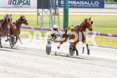 Beach-Captain_05-11-2025_WIN_Gloucester-Park_2__05