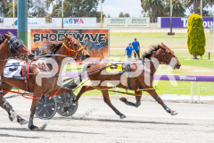 Beach-Captain_05-11-2025_WIN_Gloucester-Park_2__06