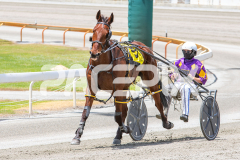Beach-Captain_05-11-2025_WIN_Gloucester-Park_2__09