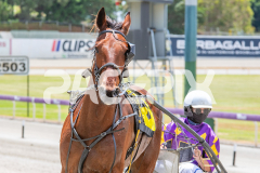 Beach-Captain_05-11-2025_WIN_Gloucester-Park_2__11