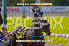 2026_PACEPIX_GP17072026_Race2_BeauPara_WIN_WEB-1