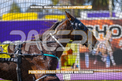 2026_PACEPIX_GP17072026_Race2_BeauPara_WIN_WEB-10