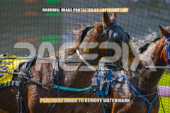 2026_PACEPIX_GP17072026_Race2_BeauPara_WIN_WEB-28