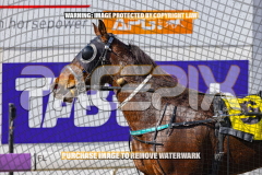 2026_PACEPIX_GP17072026_Race2_BeauPara_WIN_WEB-31