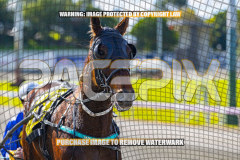 2026_PACEPIX_GP17072026_Race2_BeauPara_WIN_WEB-33