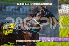 2026_PACEPIX_GP17072026_Race2_BeauPara_WIN_WEB-5