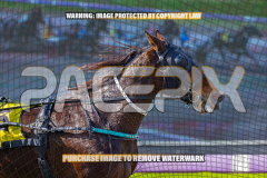 2026_PACEPIX_GP17072026_Race2_BeauPara_WIN_WEB-9