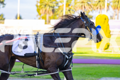 2026_PACEPIX_GP31032026_RACE2_BeaudieneHunter_WIN_WEB-17
