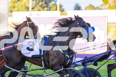 2026_PACEPIX_GP31032026_RACE2_BeaudieneHunter_WIN_WEB-3