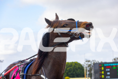 2025_PACEPIX_GP07102025_RACE2_BeaudieneHunter_WIN_WEB-16