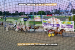 RACE 2- Beetastic