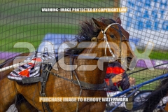 2026_PACEPIX_GP02102026_Race2_Beetastic_WIN_WEB-10