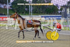 2026_PACEPIX_GP02102026_Race2_Beetastic_WIN_WEB-14