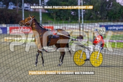 2026_PACEPIX_GP02102026_Race2_Beetastic_WIN_WEB-15