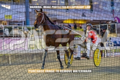 2026_PACEPIX_GP02102026_Race2_Beetastic_WIN_WEB-19