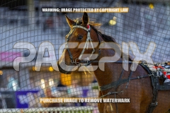 2026_PACEPIX_GP02102026_Race2_Beetastic_WIN_WEB-20