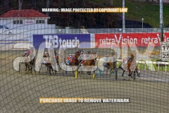 2026_PACEPIX_GP02102026_Race2_Beetastic_WIN_WEB-3